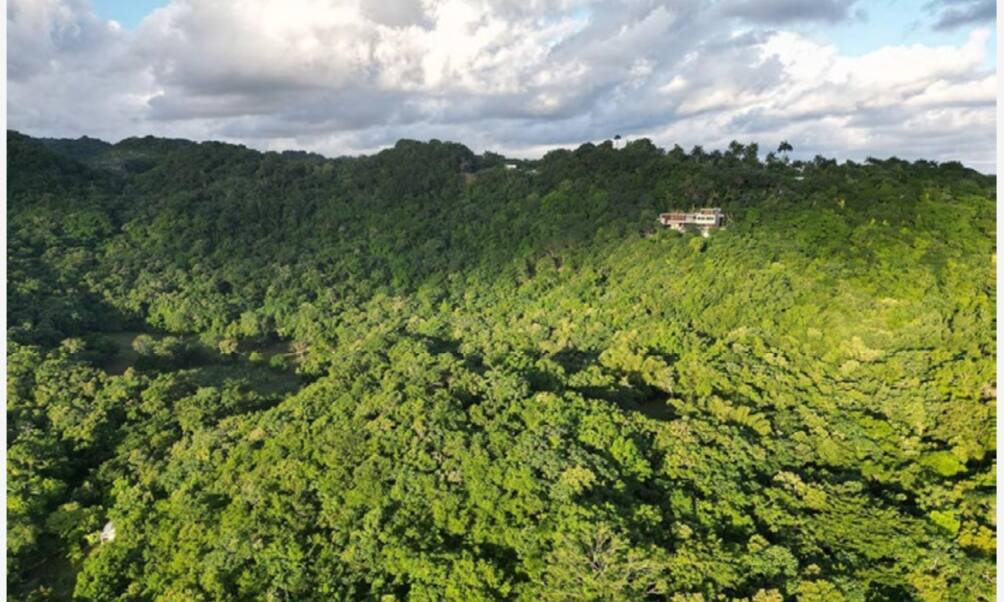 Pompeii Retreat Jamaica vacation rental photo 25