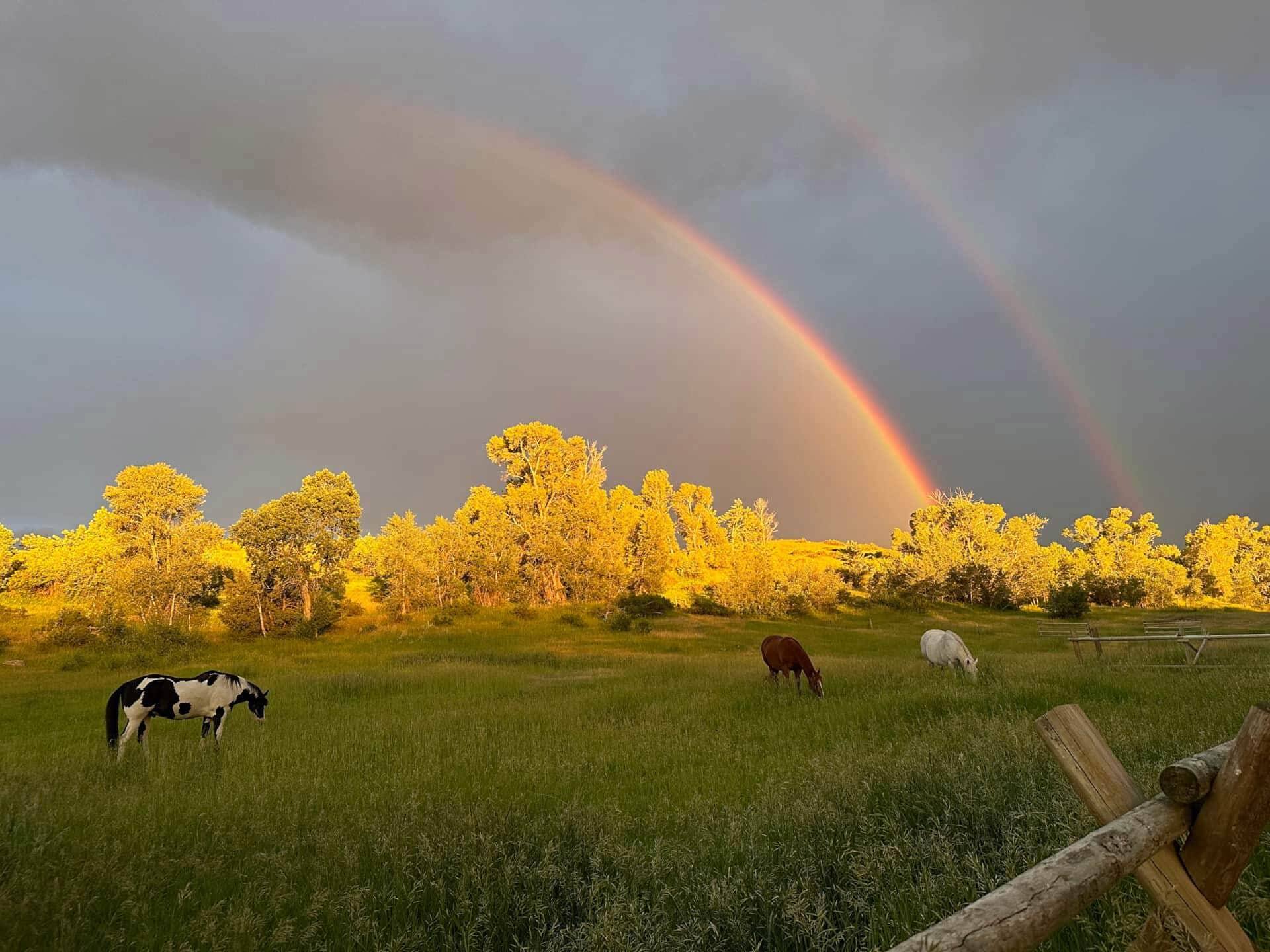 Onalee Ranch Montana vacation rental photo 25