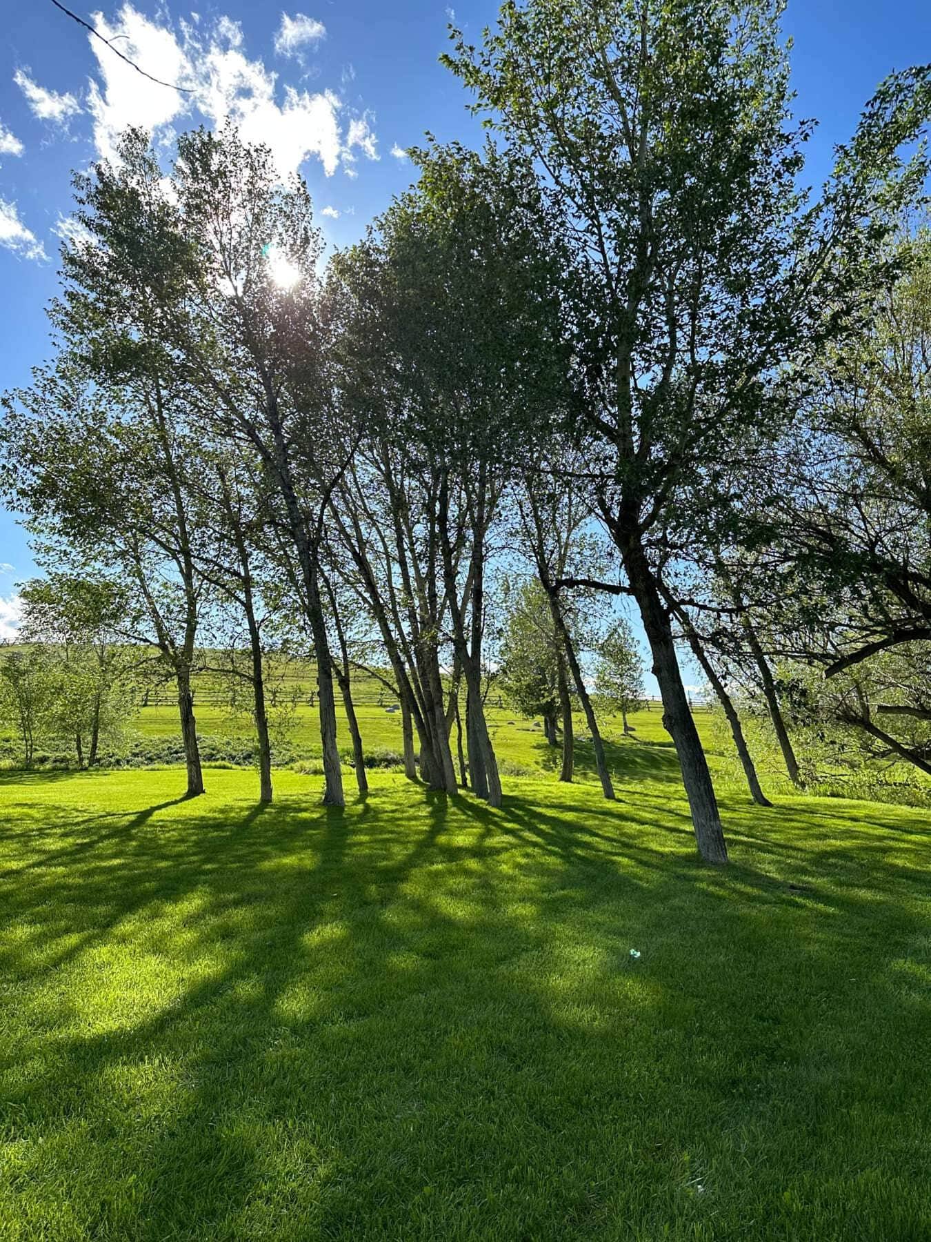 Onalee Ranch Montana vacation rental photo 26