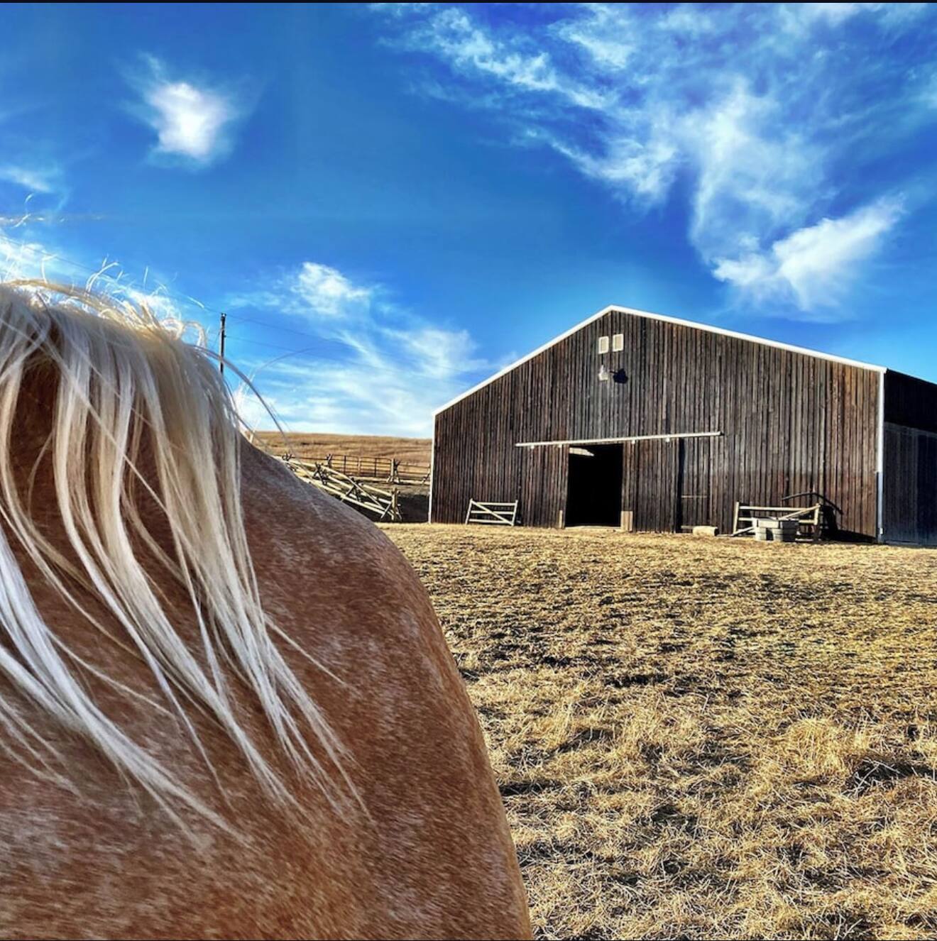 Onalee Ranch Montana vacation rental photo 58
