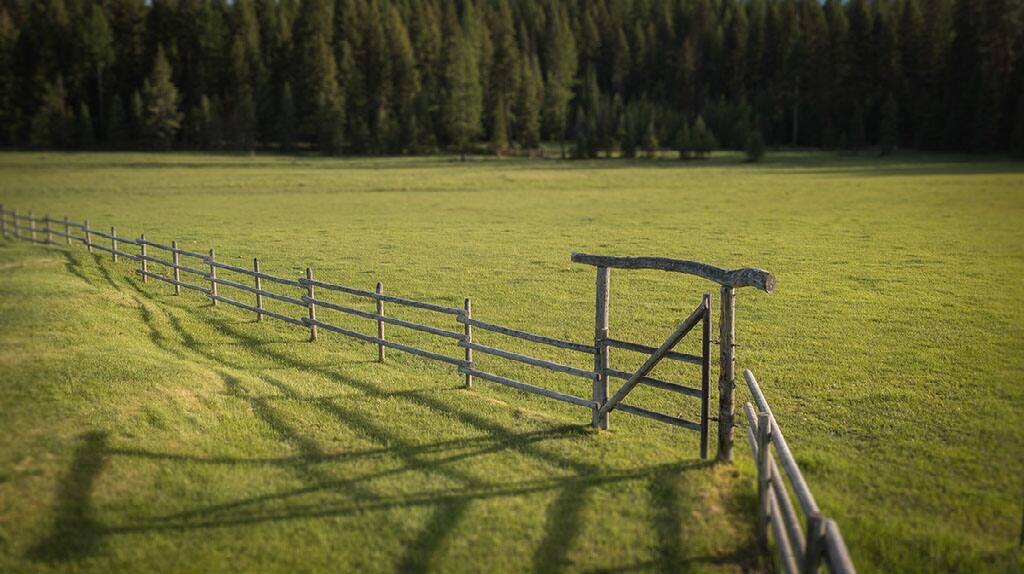 Summit Meadow Ranch Montana vacation rental photo 50