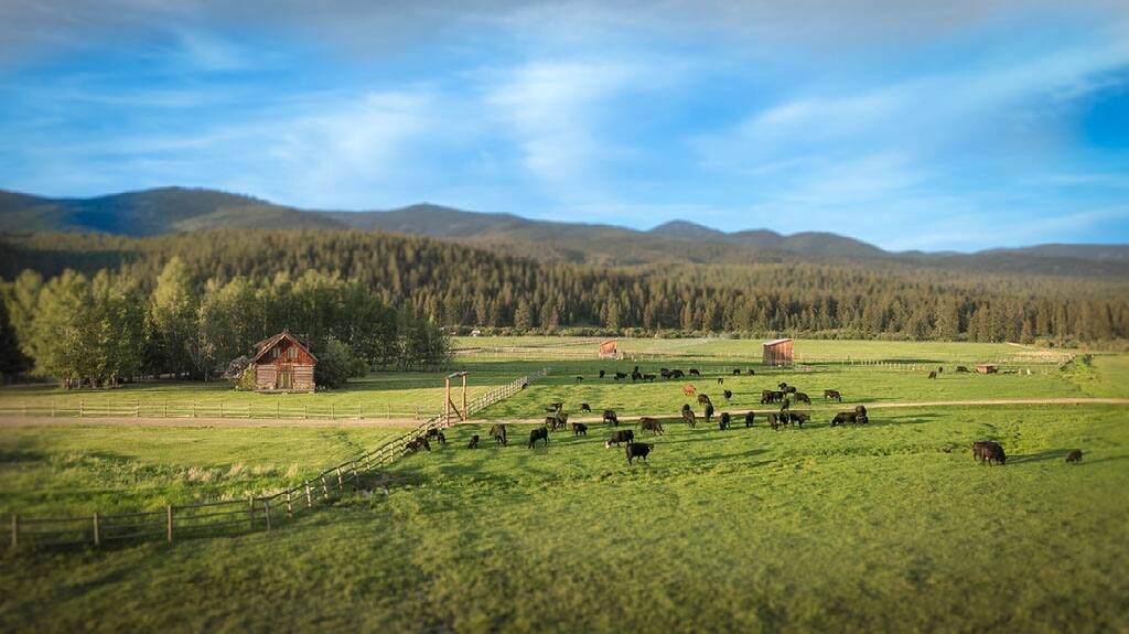 Summit Meadow Ranch Montana vacation rental photo 54